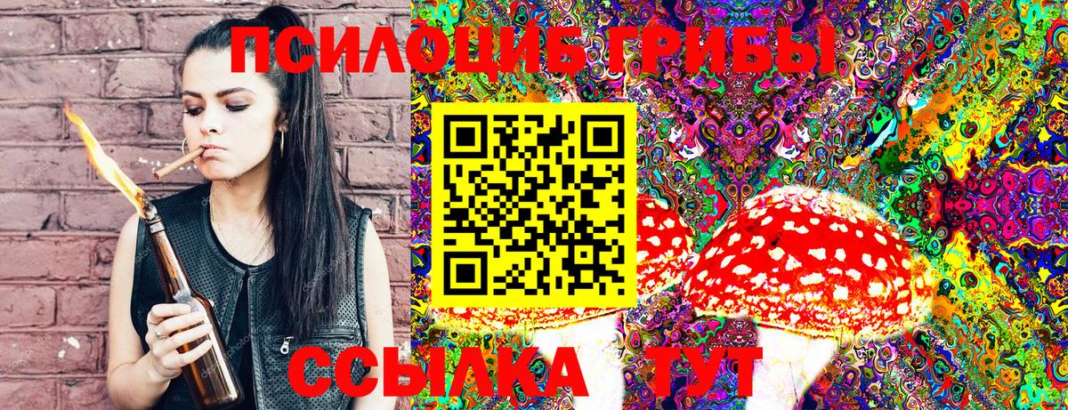 Псилоцибиновые грибы GOLDEN TEACHER Дятьково